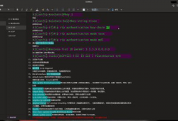 np视频,揭秘其独特魅力与精彩瞬间